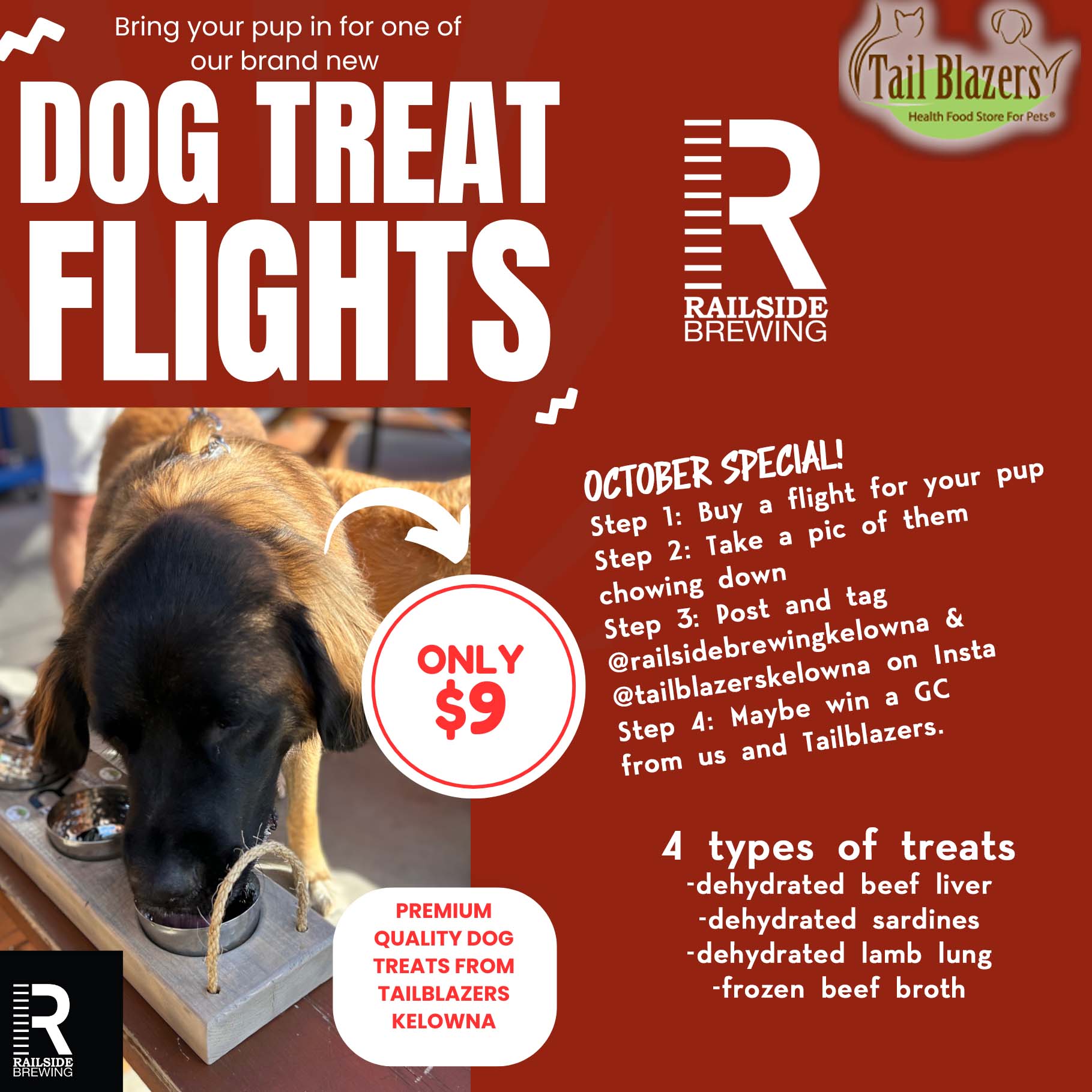 dog treat flights in kelowna