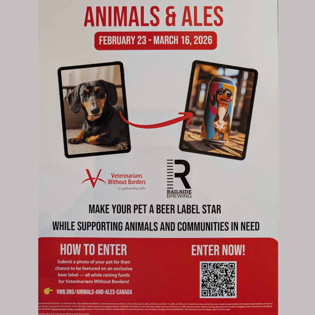 animals and ales pet fundraiser in kelowna at railside brewing
